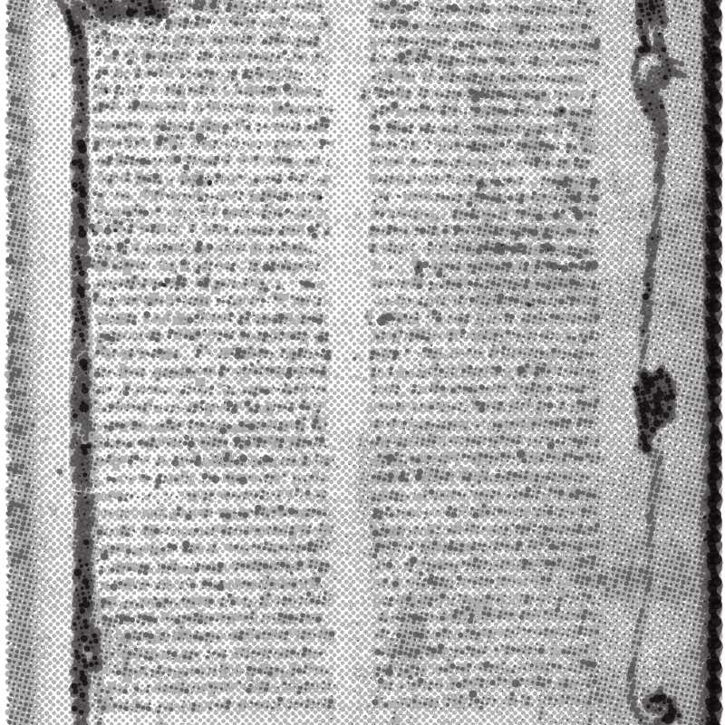 Albertano of Brescia