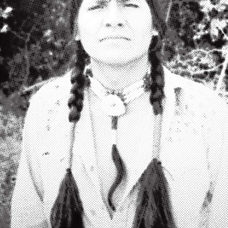 Cree Indian Prophecy