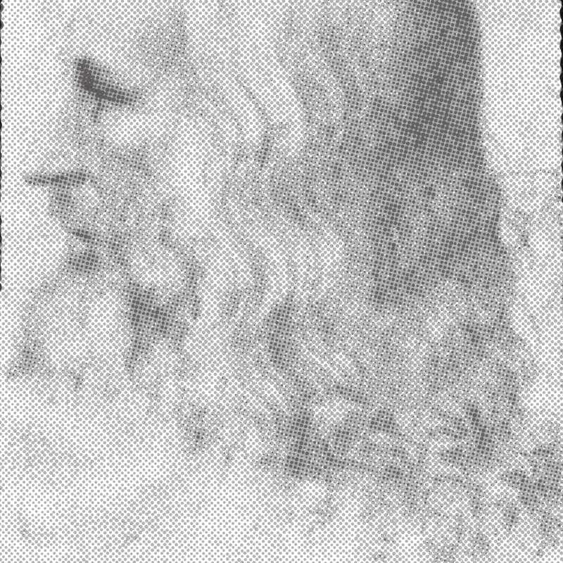 Leonardo DaVinci
