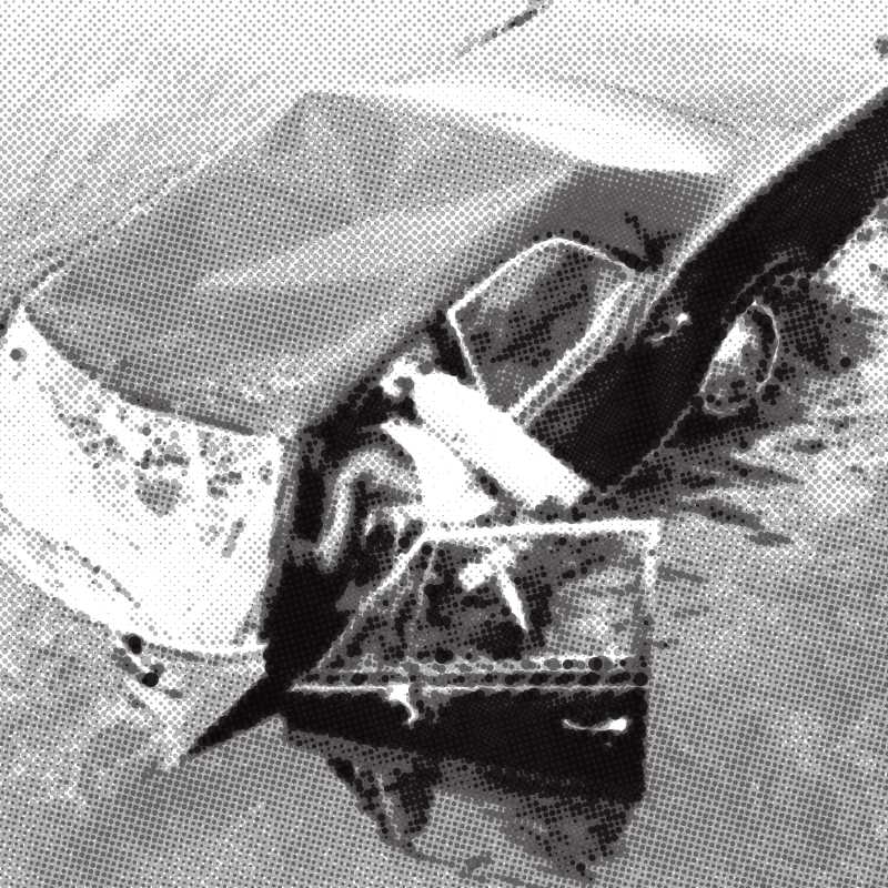 Liz Trotta on John Chancellor