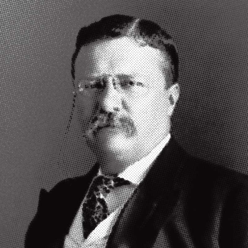 Teddy Roosevelt